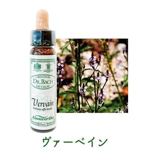 �С��٥���ԥ����󥺥����10ml