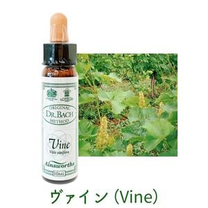 ���������Vine�ˡԥ����󥺥����10ml