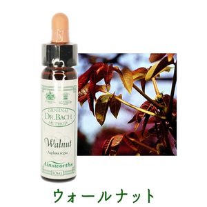 ��������ʥåȡԥ����󥺥����10ml