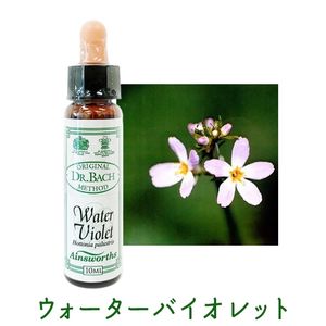 �����������Х�����åȡԥ����󥺥����10ml