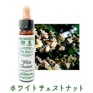 �ۥ磻�ȥ������ȥʥåȡԥ����󥺥����10ml