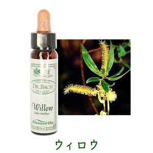 ���������ԥ����󥺥����10ml
