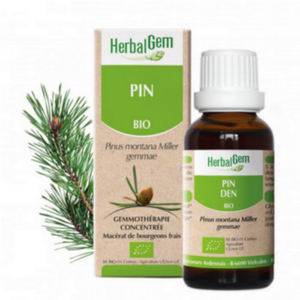 �ڵ����̡��߸˸¤�ۥޥ���ƥ�ѥ���ʥڥå��ѥ����⥻��ԡ��ˡԥϡ��Х른�����50ml