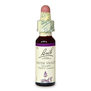 ʡ̣2025/12/31ۥХåȡʤĤʤˡԥХåեǥ10ml