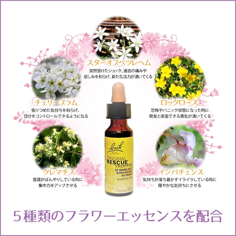 �쥹���塼���ǥ��ԥХå��ե����ǥ���10ml