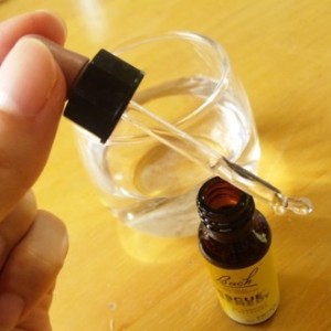 �쥹���塼���ǥ��ԥХå��ե����ǥ���10ml