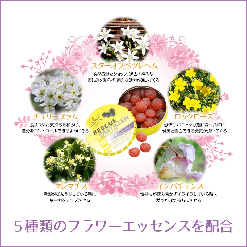 �쥹���塼�ѥ��ƥ� �֥�å������ȡԥХå��ե����ǥ���50g