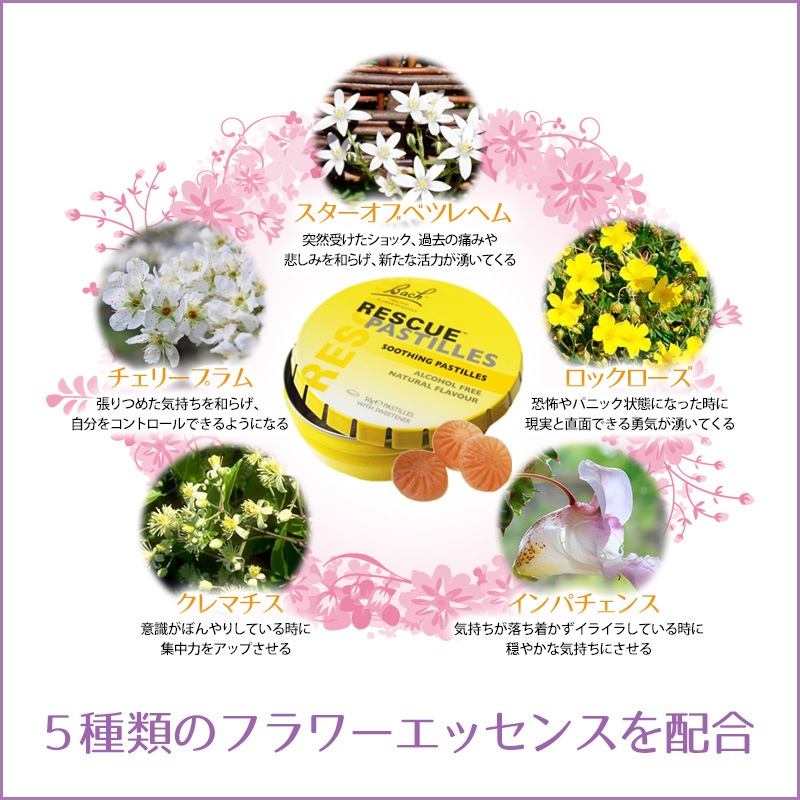 レスキューパステル オレンジ《バッチフラワーレメディ》50g｜フラワー