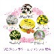 レスキューパステル オレンジ《バッチフラワーレメディ》50g
