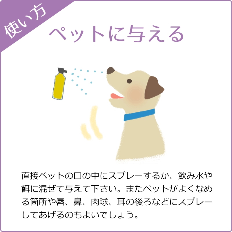 �쥹���塼���ץ졼�ԥХå��ե����ǥ���20ml