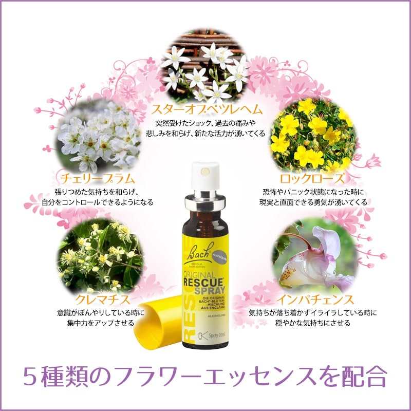 �쥹���塼���ץ졼�ԥХå��ե����ǥ���20ml