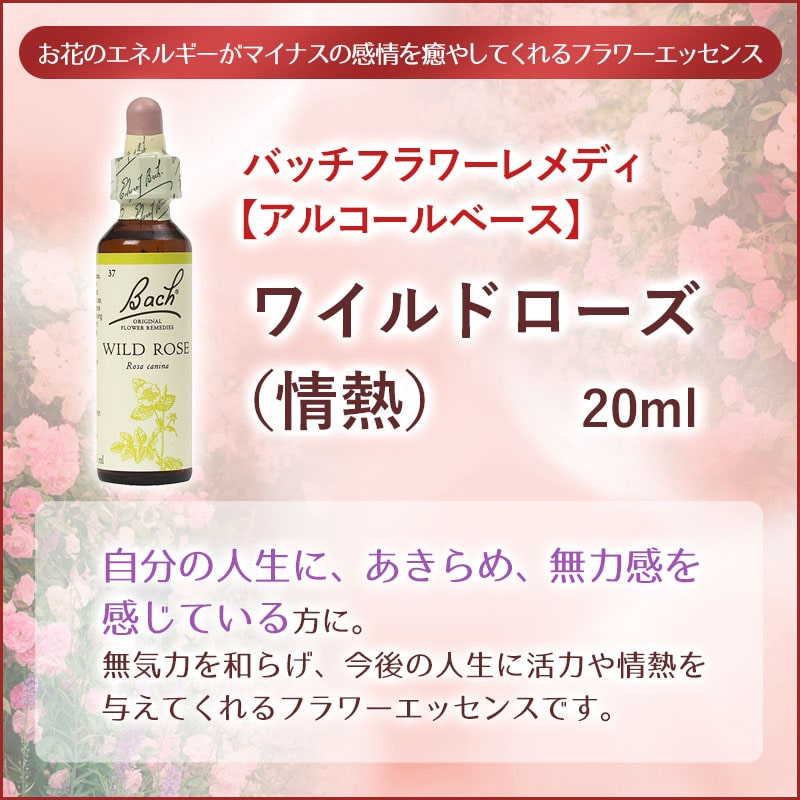 �磻��ɥ������ʾ�Ǯ�� ���륳����١����ԥХå��ե����ǥ���20ml