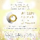 エジプトの黄道 黄金と銀のペンダント（ジルコン付き）《リヒトウェーゼン》