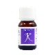 オオケタデ（日常と霊性の統合）《マウントフジフラワーエッセンス》10ml