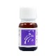 クサボケ（生の肯定）《マウントフジフラワーエッセンス》10ml