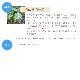 ベイビー・ウィッシュ（赤ちゃんを望んでいる方へ）《アンシェントメモリーオイル》15ml