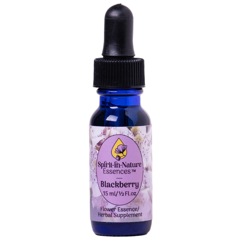 ブラックベリー（クリア）《スピリットインネイチャーエッセンス》15ml