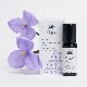 トラベル&アロマセラピーロールオン《オーストラリアンブッシュフラワーエッセンス》10ml