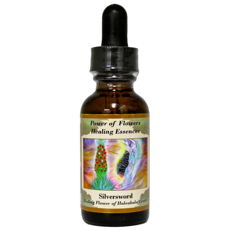 シルバーソード（霊的目覚めと高次の自己と真実とつながる）《パワー