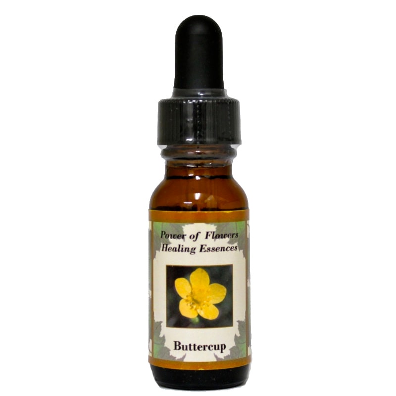 予約品】ダグラスファーパワーオブフラワーヒーリング