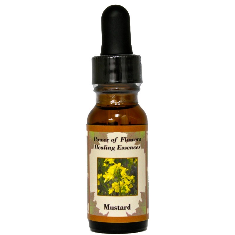 マスタード《パワーオブフラワーヒーリングエッセンス》15ml｜フラワー