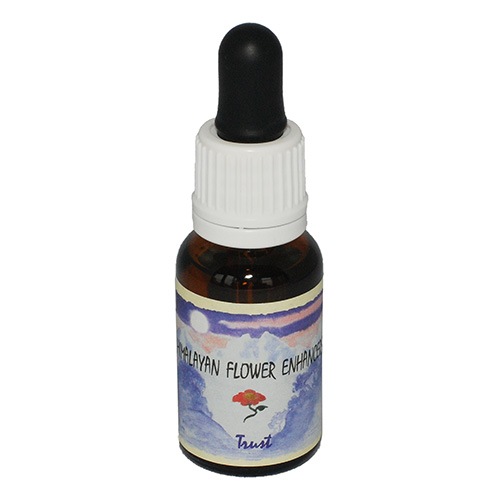 �ȥ饹�ȡԥҥޥ��󡦥ե�����ϥ󥵡�����15ml