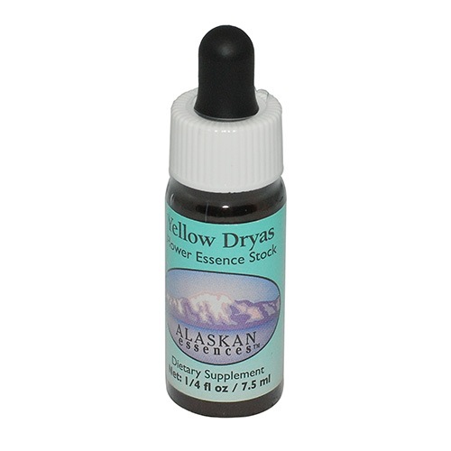イエロードライアス《アラスカンエッセンス》7.5ml｜フラワーレメディ