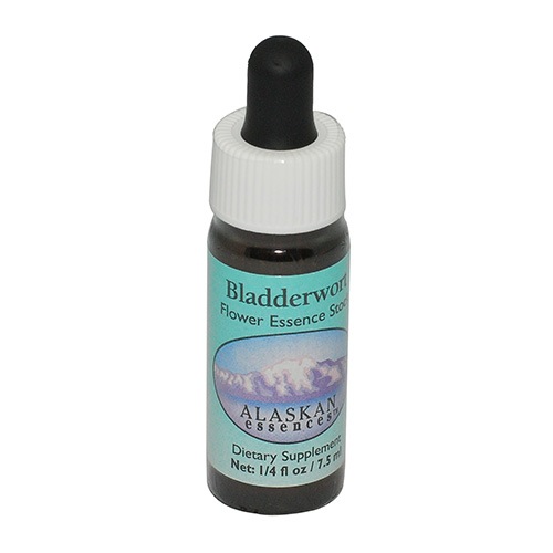 ブラダーワート《アラスカンエッセンス》7.5ml｜フラワーレメディ【公式】