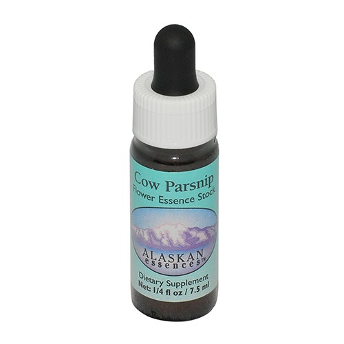 カウパースニップ《アラスカンエッセンス》7.5ml｜フラワーレメディ