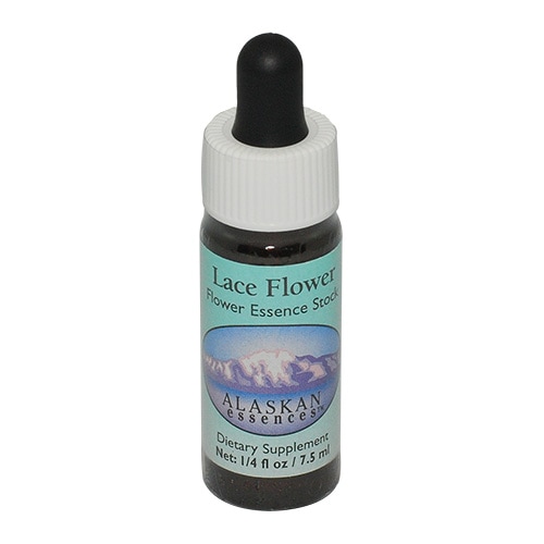 【予約品】ラブラドールティー 　アラスカンエッセンス　フラワーエッセンス レースフラワー《アラスカンエッセンス》7.5ml｜フラワーレメディ【公式】