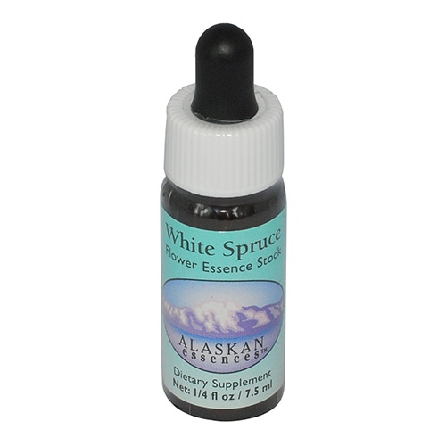 ホワイトスプルース《アラスカンエッセンス》7.5ml｜フラワーレメディ