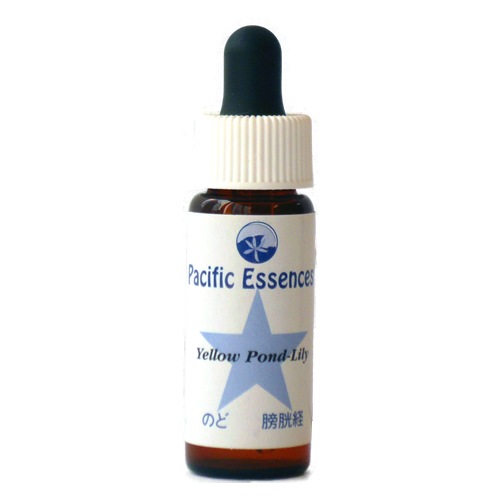 イエローポンドリリー《パシフィックエッセンス》7.5ml｜フラワー