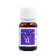 セイタカアワダチソウ（パワーと連結）《マウントフジフラワーエッセンス》10ml
