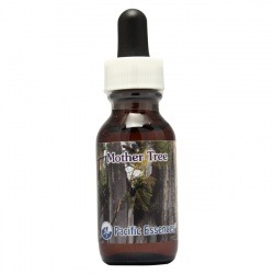 マザーツリーエッセンス《パシフィックエッセンス》30ml｜フラワー