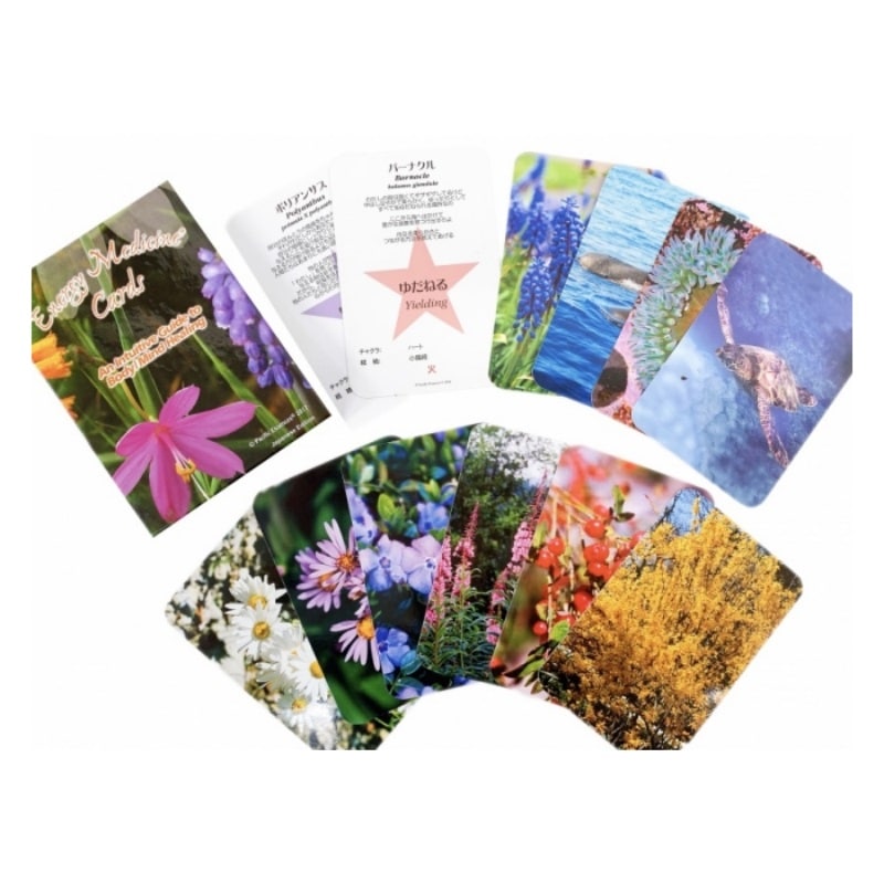 パシフィックエッセンス　エナジーメディスン　おまとめ エナジーメディスンカード 72枚（日本語）《パシフィックエッセンス