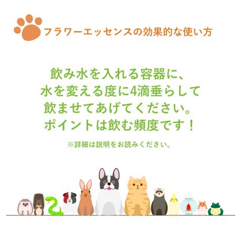 �������ߥ󥰥ϡ��� �ե����ڥåȡ�DTW�ե����å��󥹡�25ml