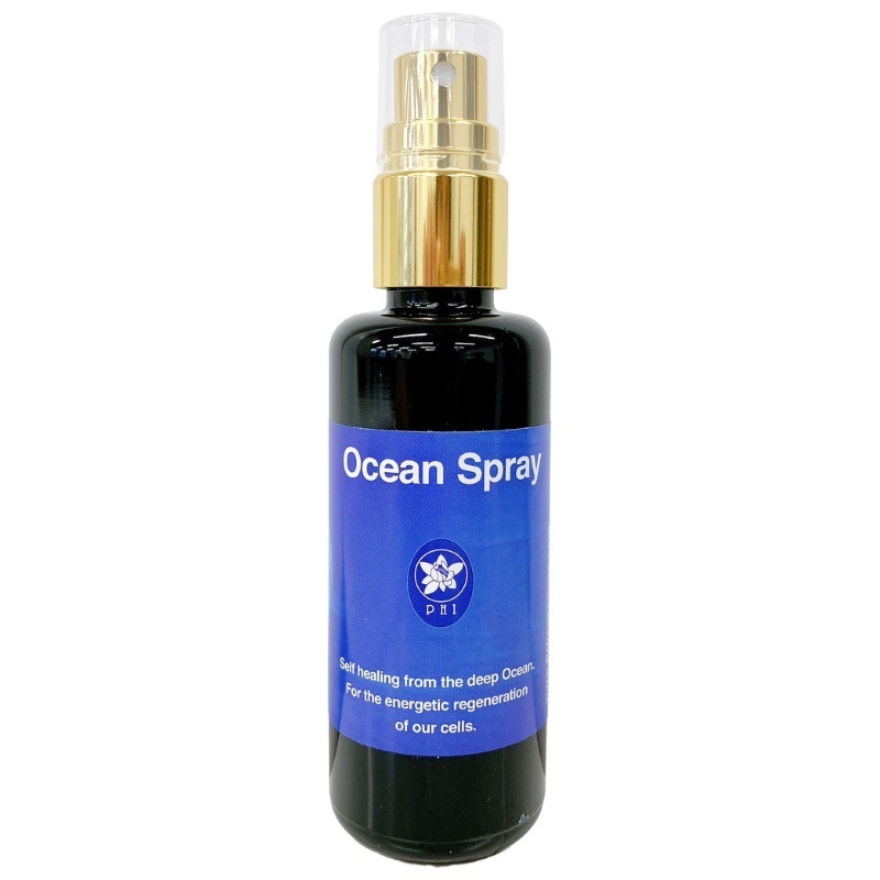 ��������󥹥ץ졼�ԥ����PHI���å��󥹡�50ml��