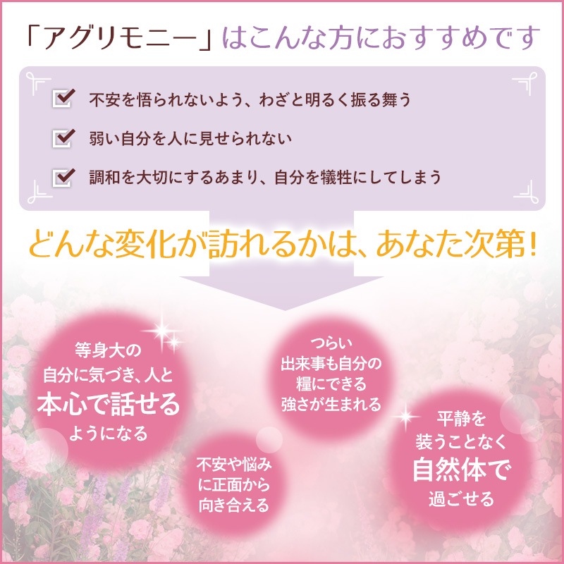 �������ˡ����ܿ��ˡԥХå��ե����ǥ���10ml