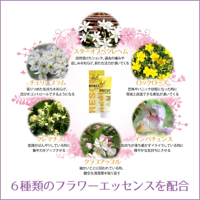 レスキュークリーム《バッチフラワーレメディ》50g｜フラワーレメディ