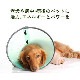 パワーチャージ フォーペット《DTWフラワーエッセンス》25ml