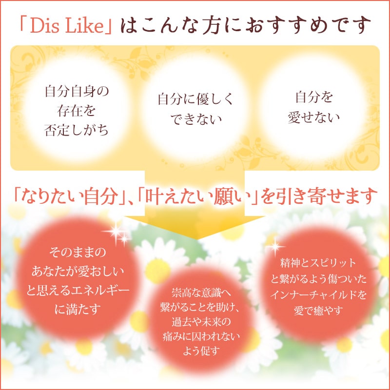 Dis Like�ʤ��ΤޤޤΤ��ʤ����������˥�å�����������ԥ���ʡ����㥤��ɥ�å������� 15ml