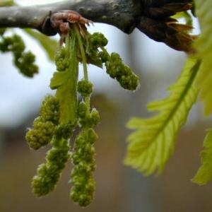 �������ʿ��ζ����ˡԥХå��ե����ǥ���10ml