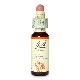 アスペン（安らぎ）《バッチフラワーレメディ》10ml