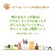 カームアンドハピネス フォーペット《DTWフラワーエッセンス》25ml