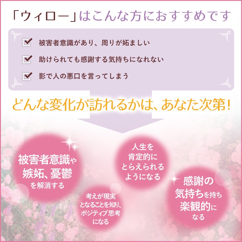 ���������ʥݥ��ƥ��֡ˡԥХå��ե����ǥ���10ml