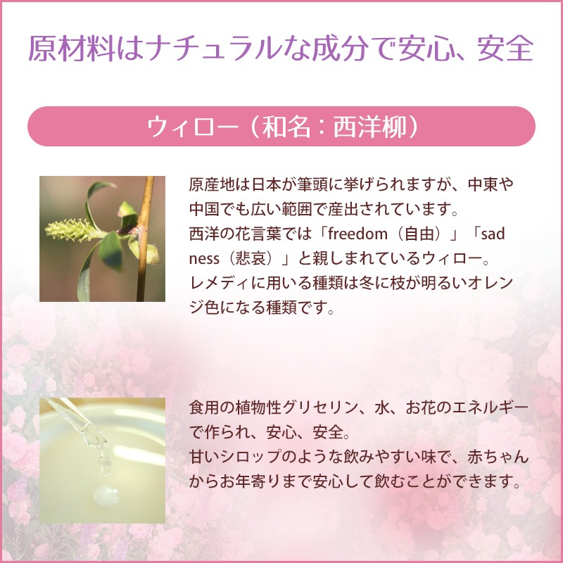 ���������ʥݥ��ƥ��֡ˡԥХå��ե����ǥ���10ml