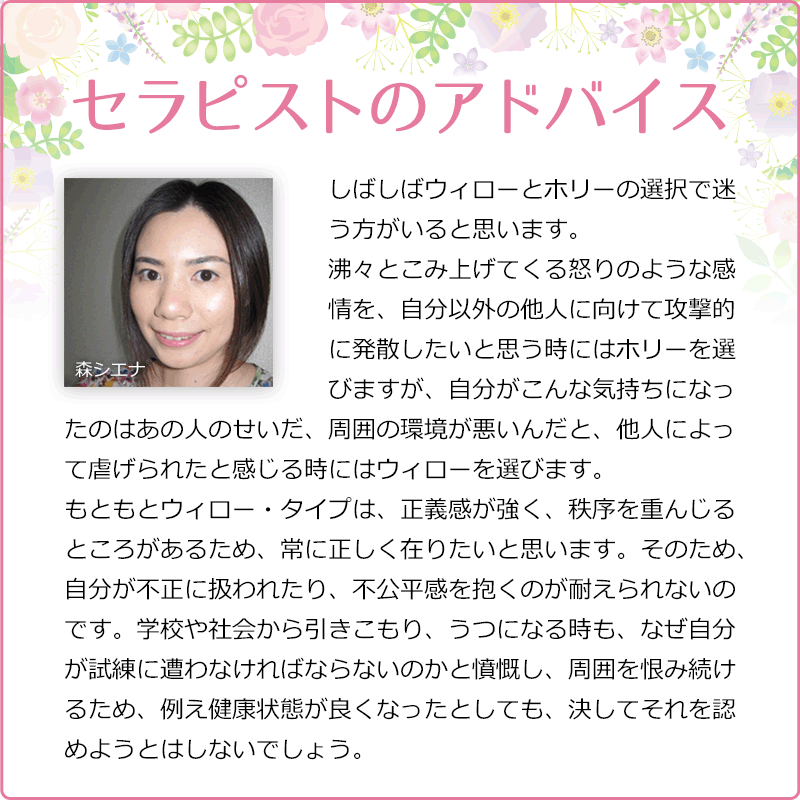 ���������ʥݥ��ƥ��֡ˡԥХå��ե����ǥ���10ml