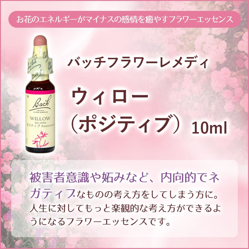 ���������ʥݥ��ƥ��֡ˡԥХå��ե����ǥ���10ml