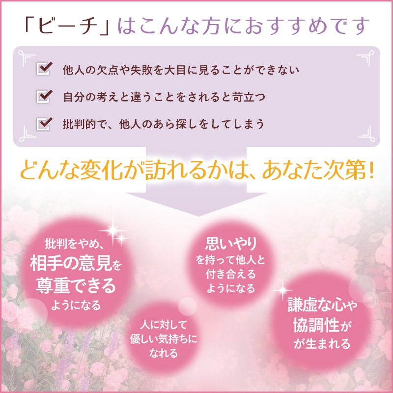 �ӡ����ʴ��ơˡԥХå��ե����ǥ���10ml