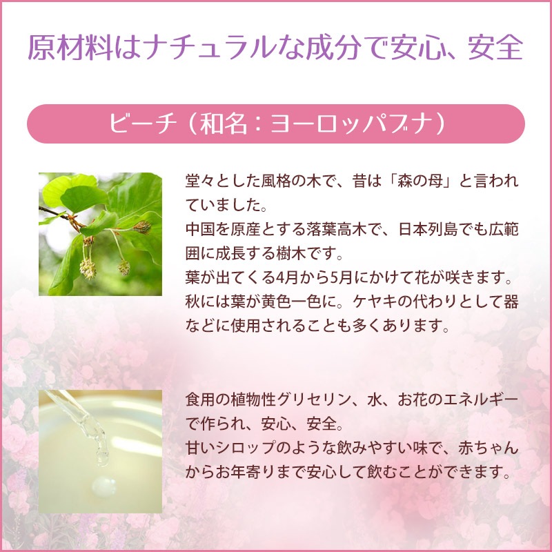 �ӡ����ʴ��ơˡԥХå��ե����ǥ���10ml